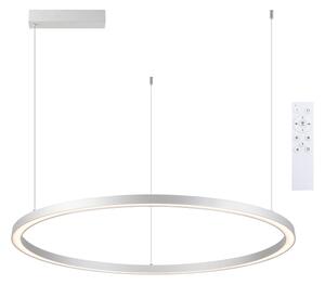Brilagi - LED Stmívatelný lustr na lanku PORTOFINO LED/98W/230V stříbrná + DO