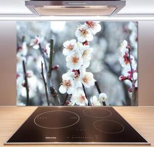 Dekorační panel sklo Květy višně pksh-104952401