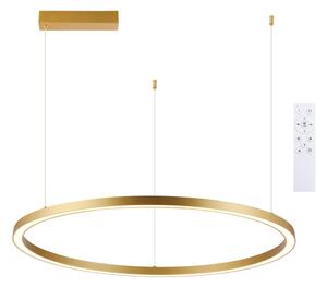 Brilagi - LED Stmívat. lustr na lanku PORTOFINO LED/60W/230V pr. 80 cm zlatá +DO