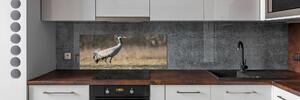 Skleněný panel do kuchyně Volavka pksh-104970782