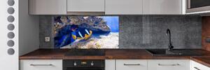 Panel do kuchyně Tropická ryba pksh-105173265
