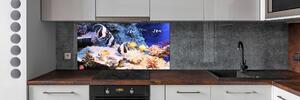 Dekorační panel Korálový útes pksh-105919456