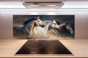 Skleněný panel do kuchyně Koně ve cvalu pksh-106659074