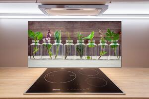 Panel do kuchyně Rostliny ve sklenicích pksh-107111601