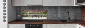 Panel do kuchyně Rostliny ve sklenicích pksh-107111601