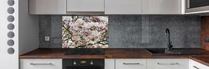 Panel do kuchyně Květiny magnolie pksh-107287859