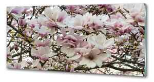 Panel do kuchyně Květiny magnolie pksh-107287859