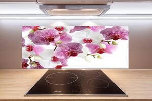 Skleněný panel do kuchynské linky Orchidej pksh-107506962