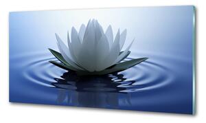 Dekorační panel sklo Vodní lilie pksh-107626228