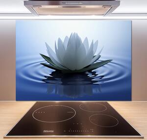 Dekorační panel sklo Vodní lilie pksh-107626228