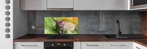 Panel do kuchyně Kočka pampeliška pksh-107758068