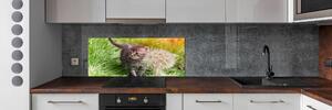 Panel do kuchyně Kočka pampeliška pksh-107758068