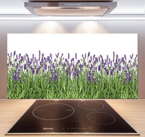 Panel do kuchyně Květiny levandule pksh-107877649