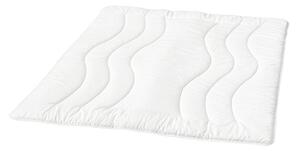 Celoroční přikrývka Pure Cotton Euforia Single