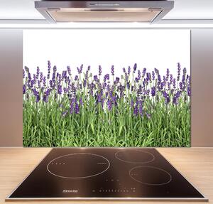Panel do kuchyně Květiny levandule pksh-107877649