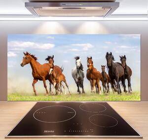 Panel do kuchyně Koně ve cvalu pksh-108737059