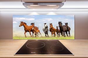 Panel do kuchyně Koně ve cvalu pksh-108737059