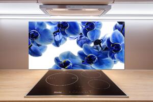 Panel do kuchyně Modrná orchidej pksh-108719239