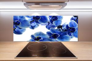 Panel do kuchyně Modrná orchidej pksh-108719239