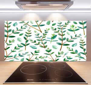 Dekorační panel sklo Eukalyptus pksh-109516914