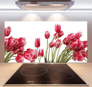 Panel do kuchyně Červené tulipány pksh-109710799