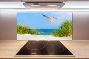 Panel do kuchyně Méva na pláži pksh-109828063