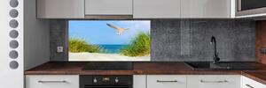 Panel do kuchyně Méva na pláži pksh-109828063