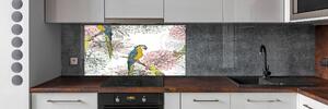 Panel do kuchyně Papoušci a květiny pksh-110762847