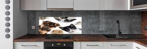 Panel do kuchyně Domácí zvířata pksh-111140869