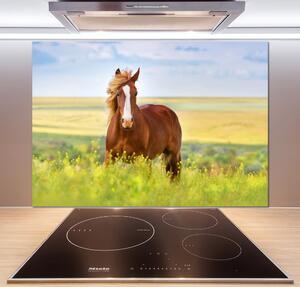 Dekorační panel sklo Hnědý kůň pksh-111439137