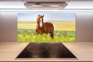 Dekorační panel sklo Hnědý kůň pksh-111439137