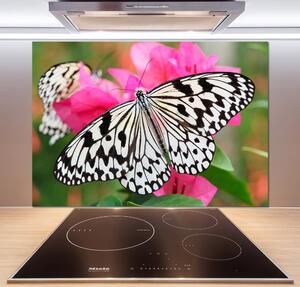 Panel do kuchyně Motýl na květině pksh-111962748