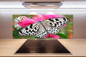 Panel do kuchyně Motýl na květině pksh-111962748