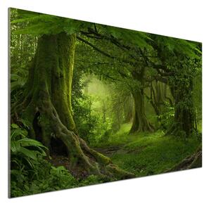 Panel do kuchyně Tropická džungle pksh-112054688