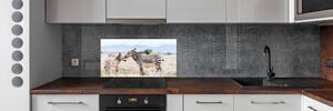 Panel do kuchyně Zebry v horách pksh-112483528