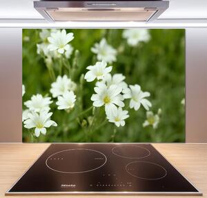 Panel do kuchyně Jarní květiny pksh-112767766
