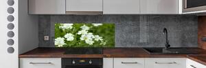 Panel do kuchyně Jarní květiny pksh-112767766