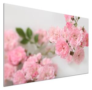 Dekorační panel sklo Divoké růže pksh-113333755