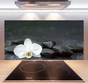 Skleněný panel do kuchynské linky Orchidej pksh-113617594