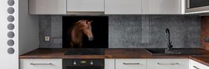 Dekorační panel sklo Hnědý kůň pksh-114030424