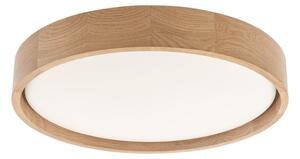Brilagi - LED Stropní svítidlo MANAROLA PLAIN LED/24W/230V 3000K pr. 41 cm dub