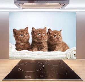 Panel do kuchyně Kočky na ručníku pksh-115160292