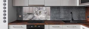 Panel do kuchyně Kočka v brýlích pksh-115959381