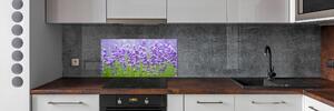 Skleněný panel do kuchyně Levandule pksh-115973542