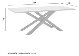 Jídelní Stůl Favio 200x100 Cm