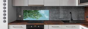 Panel do kuchyně Listí na obloze pksh-116183782