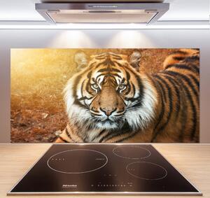 Panel do kuchyně Bengálský tygr pksh-116603957