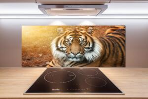 Panel do kuchyně Bengálský tygr pksh-116603957