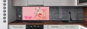 Skleněný panel do kuchyně Kočka na lehátku pksh-116809359