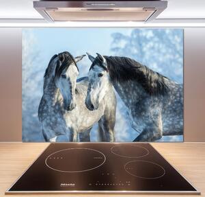 Panel do kuchyně Zima šedý kůň pksh-116887257